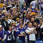 Vikings Fans