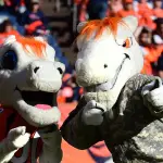 Denver Broncos Mascot