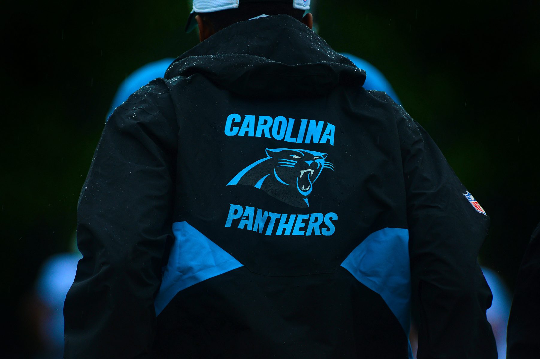 Carolina Panthers David Tepper