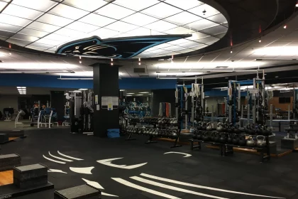 Carolina Panthers Gerald McCoy