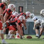 Scorpions treffen im dritten Heimspiel auf Ingolstadt Dukes