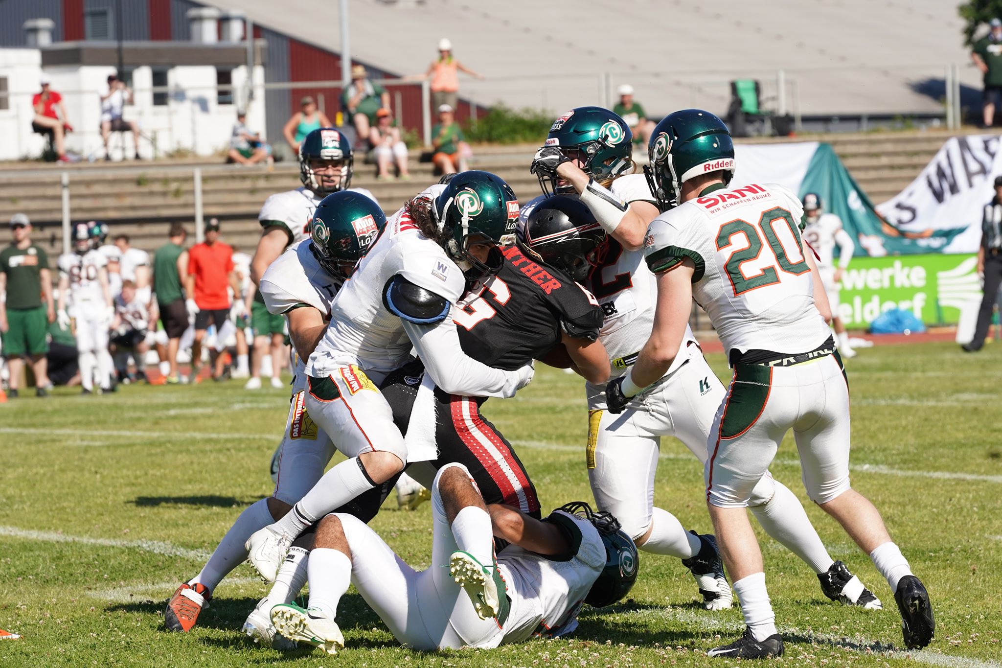 Düsseldorf Panther haben gegen die Kiel Baltic Hurricanes mit 10:20 verloren