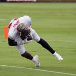 TAMPA, FL - AUG 30: The Buccaneers Chris Godwin (14) makes an outstanding catch in the back of the end zone and then get