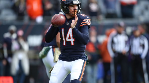 CHICAGO, IL - NOVEMBER 21: Chicago Bears quarterback Andy Dalton (14) in action before a NFL, American Football Herren,
