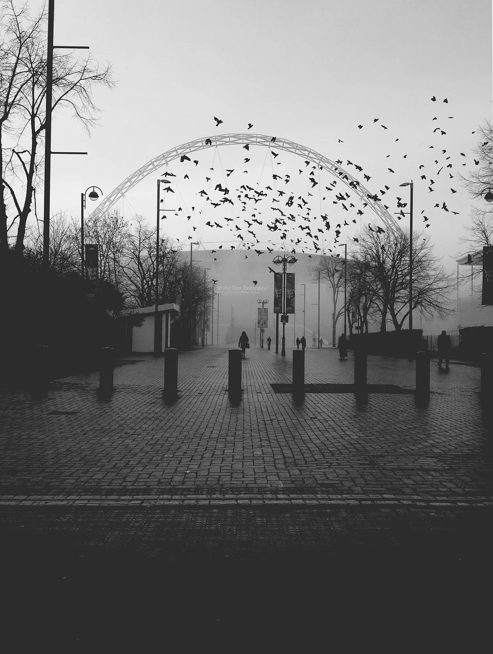 Jacksonville Jaguars