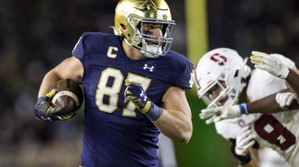 tight ends nfl draft - michael mayer ist unser top kandidat