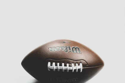 Wilson Football