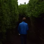 FootballR - NFL - Eine Person geht einen schmalen Pfad in einem Wald entlang.