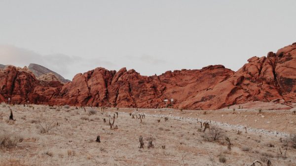 FootballR - NFL - Eine Wüstenlandschaft mit roten Felsen im Hintergrund.