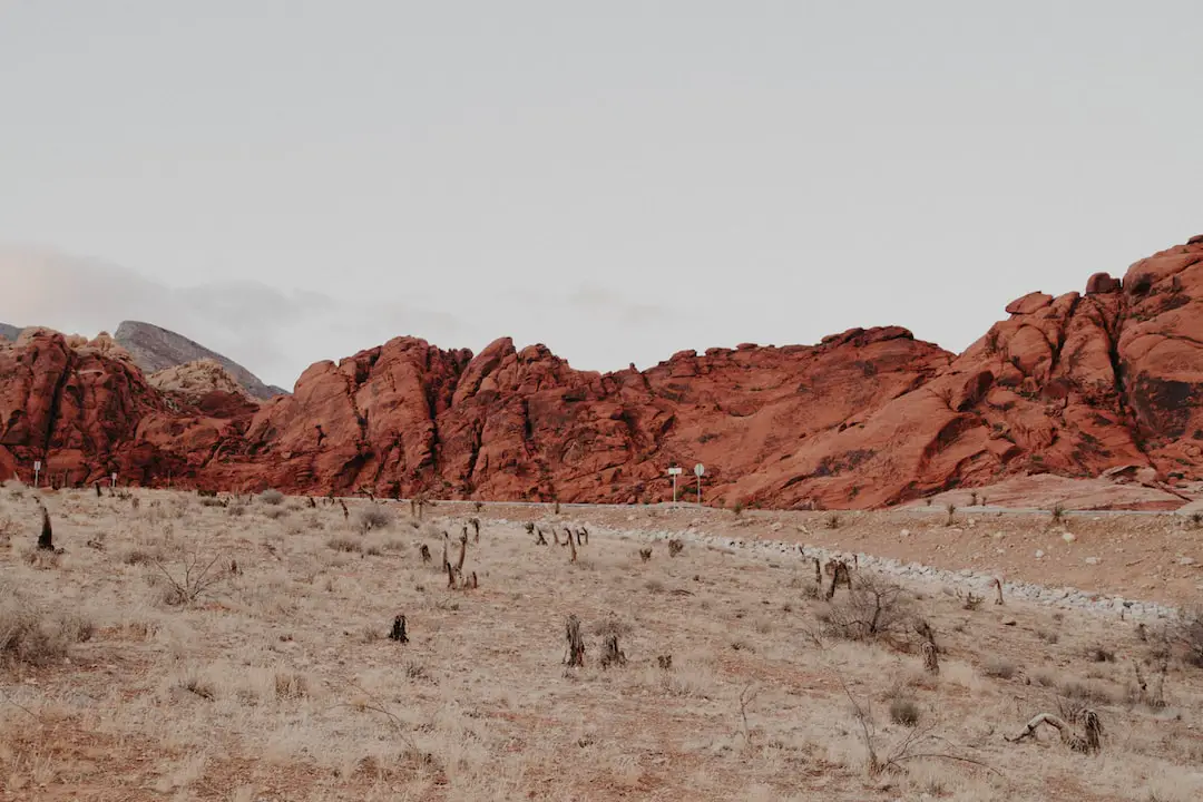 FootballR - NFL - Eine Wüstenlandschaft mit roten Felsen im Hintergrund.