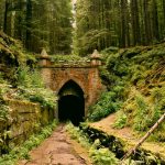 FootballR - NFL - Ein Tunnel mitten in einem Waldgebiet.