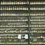 Photo Die besten Ergänzungsmittel für die Unterstützung deiner Fitnessziele