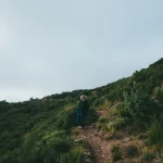 Photo Wie man sich auf einen Marathon vorbereitet: Trainingstipps und Ernährungsstrategien