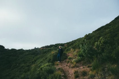 Photo Wie man sich auf einen Marathon vorbereitet: Trainingstipps und Ernährungsstrategien