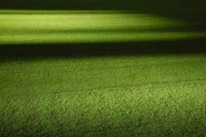 Photo Football field