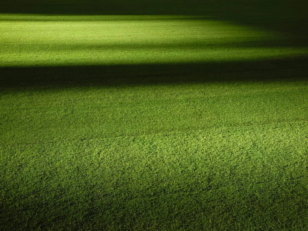 Photo Football field