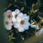 Photo Football player, VR headset