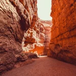 Photo Outdoor circuit