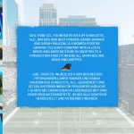 Ein Werbeplakat mit einem Footballstadion im Hintergrund präsentiert Girl Tribe Co., ein auf Frauen ausgerichtetes T-Shirt-Unternehmen mit Grafik, gegründet in Charlotte, N.C. Der Text auf Englisch und Deutsch hebt ihre lokalen Produktions- und Versanddienste hervor. Entdecken Sie noch heute die exklusive Carolina Panthers NFL-Kollektion! Diese Beschreibung wurde mit der FootballR KI automatisch generiert.