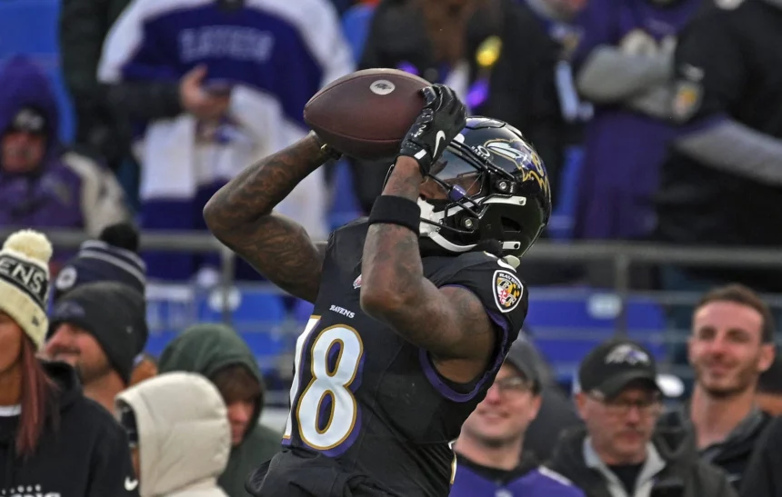 Diontae Johnson in schwarzer Uniform mit der Nummer 18 fängt während des Spiels gegen die Ravens einen Ball. Er hat Tattoos auf den Armen und trägt Handschuhe und Helm. Die Menge im Hintergrund ist dick eingepackt, einige lächeln, andere jubeln und genießen das kalte Wetter. Diese Beschreibung wurde mit der FootballR KI automatisch generiert.