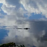 Photo Sack celebration