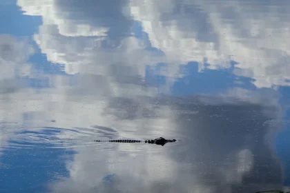 Photo Sack celebration