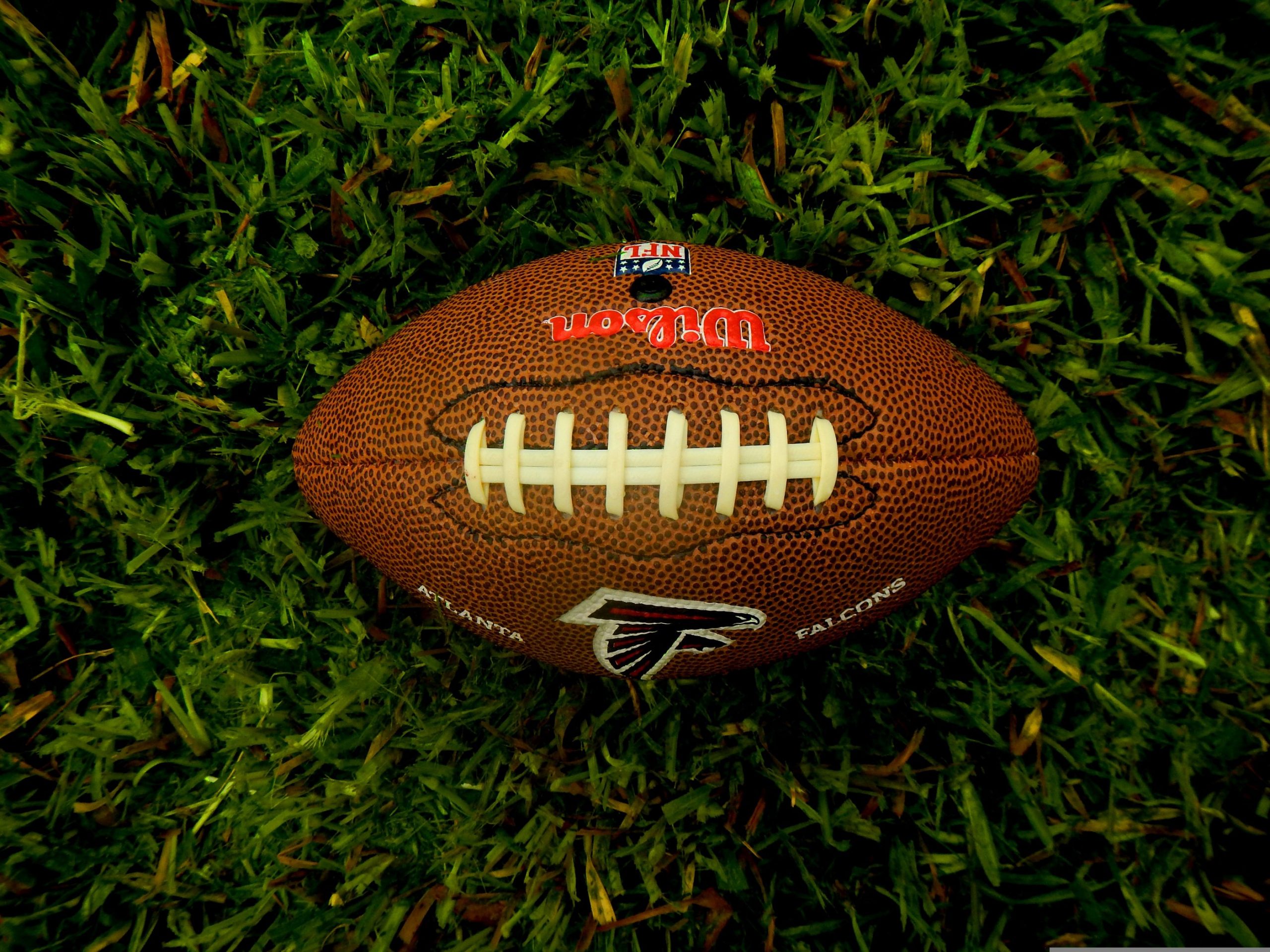 Ein brauner Wilson NFL-Football mit weißen Schnürsenkeln und dem Logo der Atlanta Falcons ruht auf grünem Gras. Die Textur des Balles und die einzelnen Grashalme sind deutlich zu erkennen. Von oben aufgenommen, unterstreicht er die Begeisterung der NFL-Fans in Österreich und Wettgiganten gleichermaßen. Diese Beschreibung wurde mit der FootballR KI automatisch generiert.