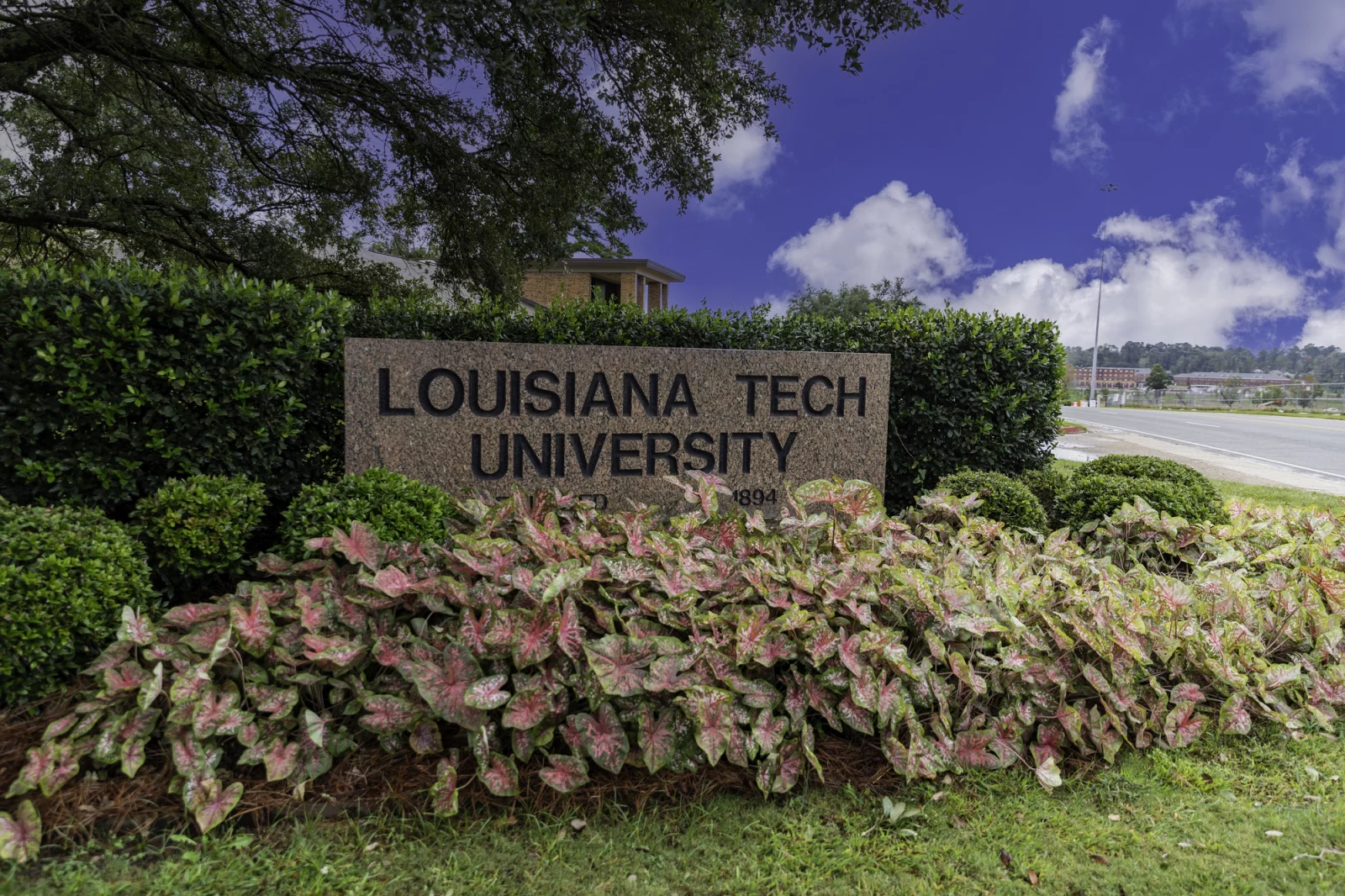 Stein mit Aufschrift Louisiana Tech University umgeben von bunten Pflanzen und grünen Büschen bei blauem Himmel