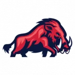 Razorbacks Logo
