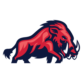 ifm Razorbacks Ravensburg - team logo