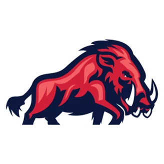 ifm Razorbacks Ravensburg - team logo